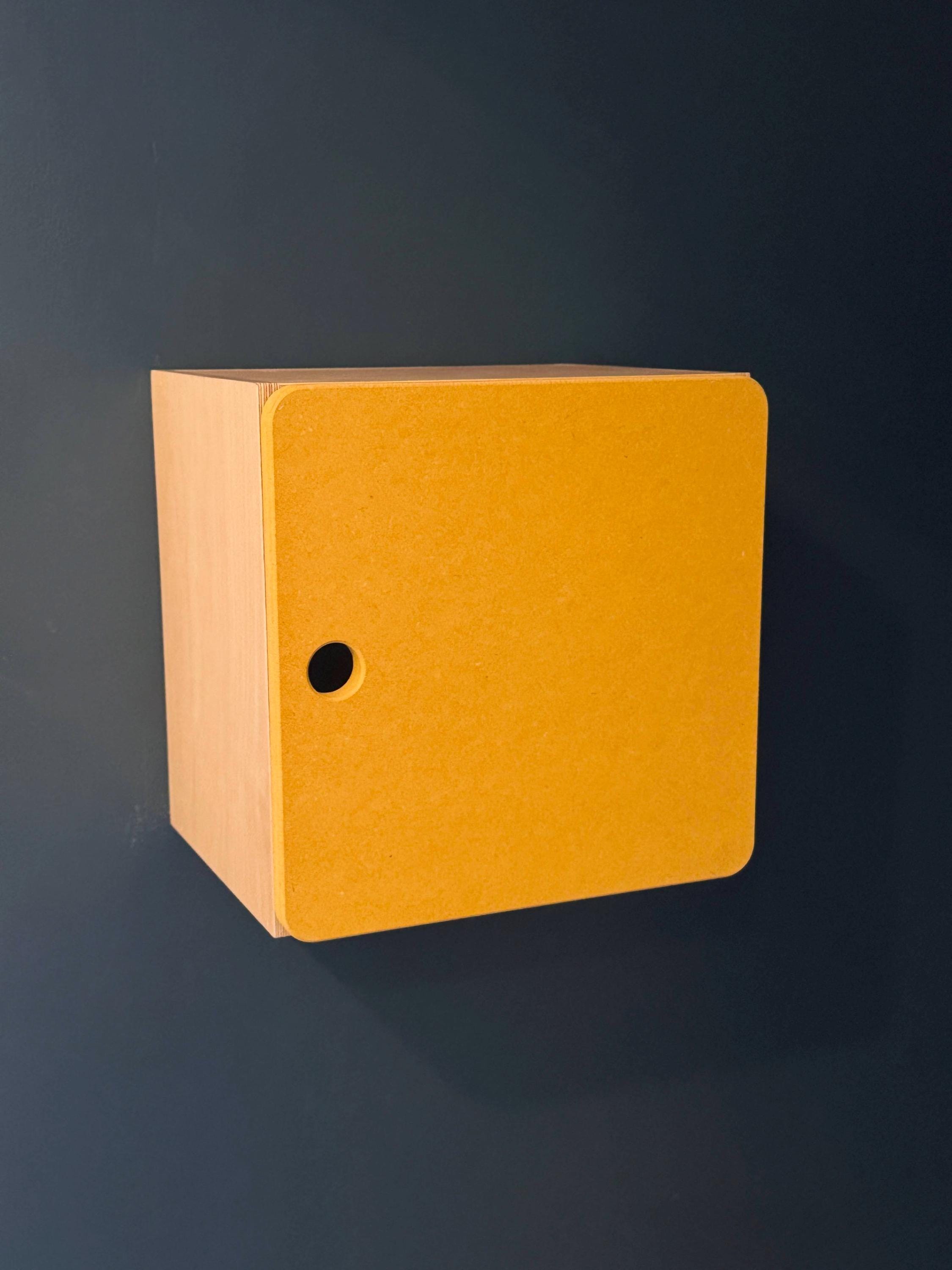 Wooden Modular Wall Cabinets with Colourful customizable doors